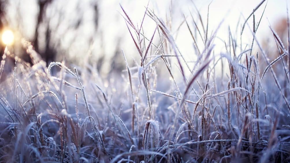 Frost Advisory, Wind Advisory Hit Cherokee County Thursday Night