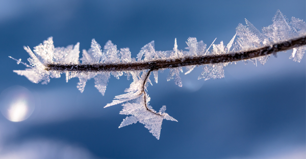 Cherokee Schools Planning Normal Operations Thursday Despite Forecast
